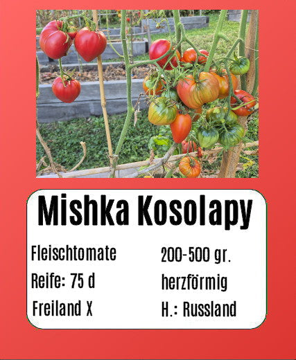 Mishka Kosolapy DER TOMATENFLÜSTERER