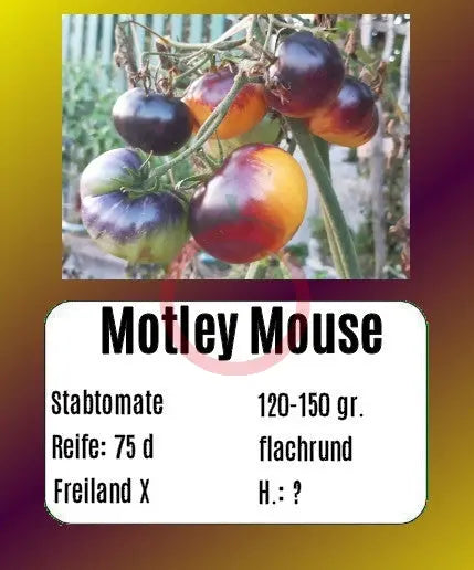 Motley Mouse DER TOMATENFLÜSTERER