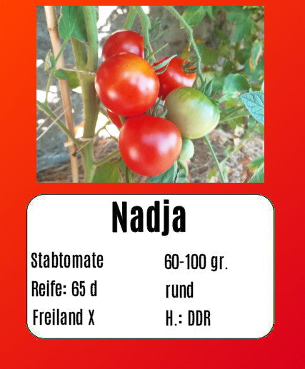 Nadja DER TOMATENFLÜSTERER