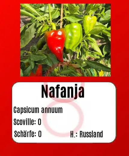 Nafanja DER TOMATENFLÜSTERER