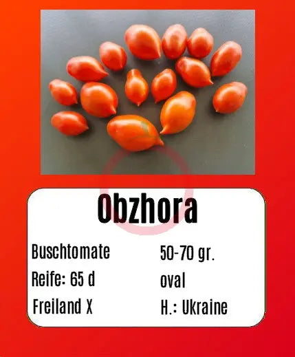 Obzhora DER TOMATENFLÜSTERER