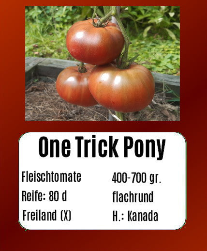 One Trick Pony DER TOMATENFLÜSTERER