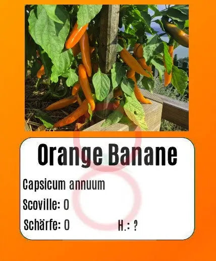 Orange Banane DER TOMATENFLÜSTERER