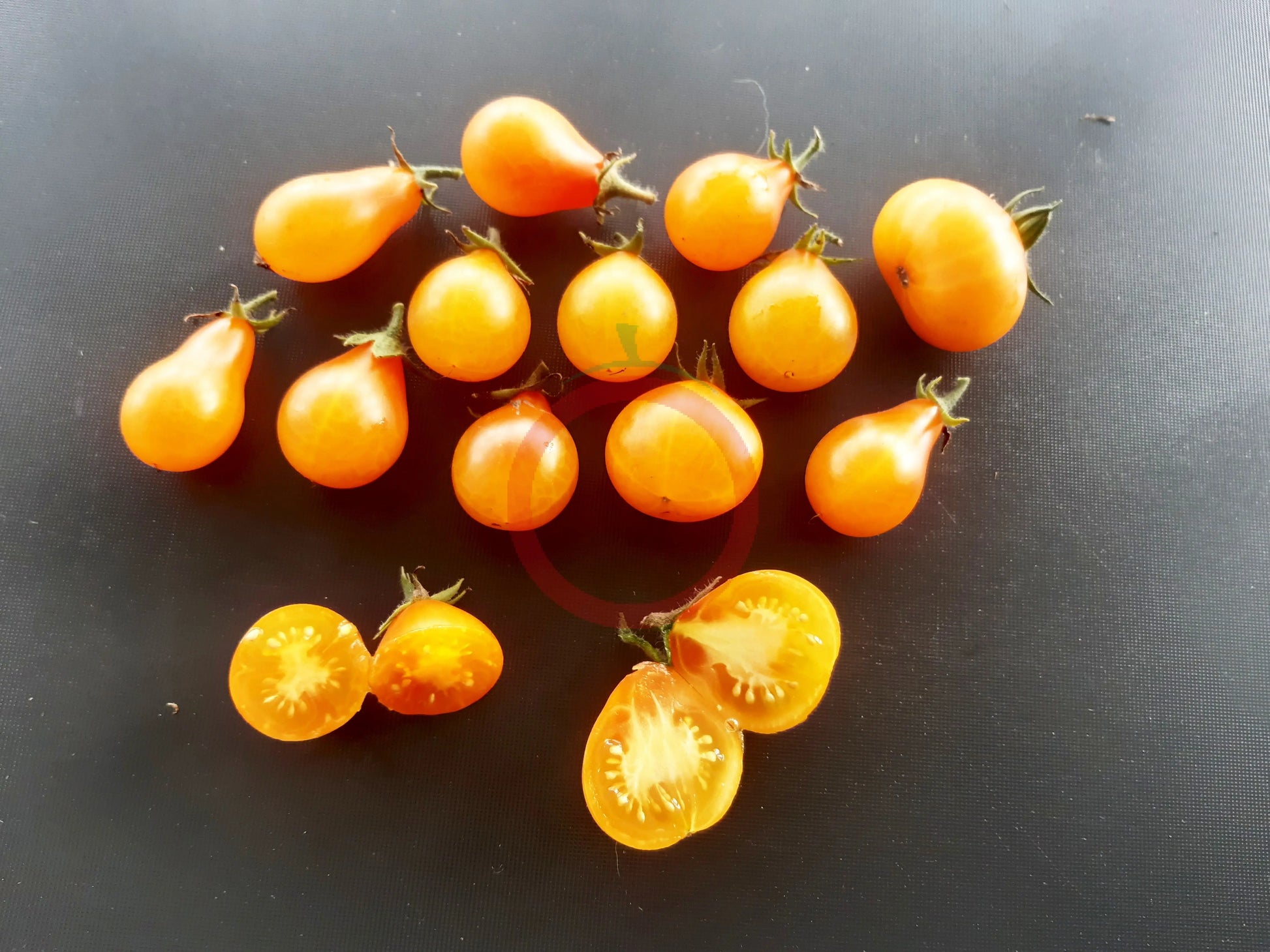 Orange Pear DER TOMATENFLÜSTERER