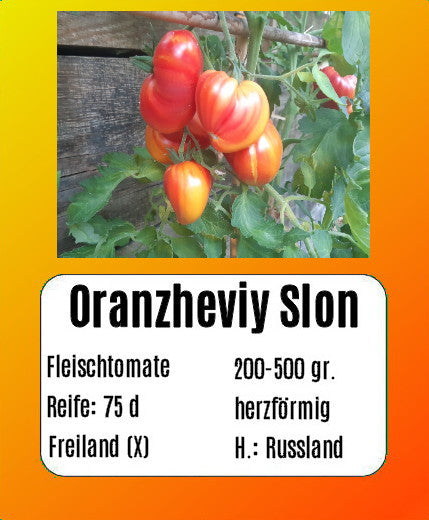 Oranzheviy Slon DER TOMATENFLÜSTERER