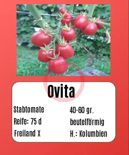 Ovita DER TOMATENFLÜSTERER