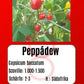 Peppādew DER TOMATENFLÜSTERER