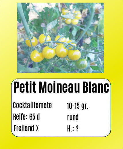 Petit Moineau Blanc DER TOMATENFLÜSTERER