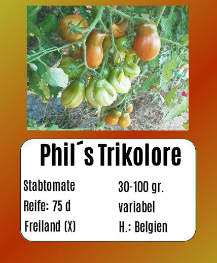 Phils tricolore DER TOMATENFLÜSTERER