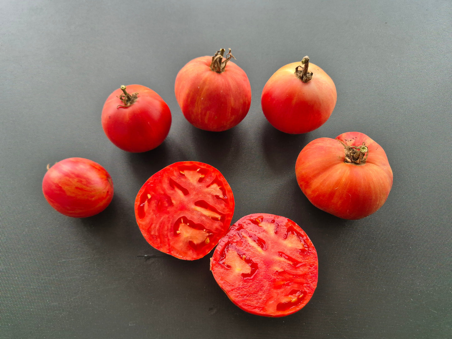 Pink Furry Boar DER TOMATENFLÜSTERER