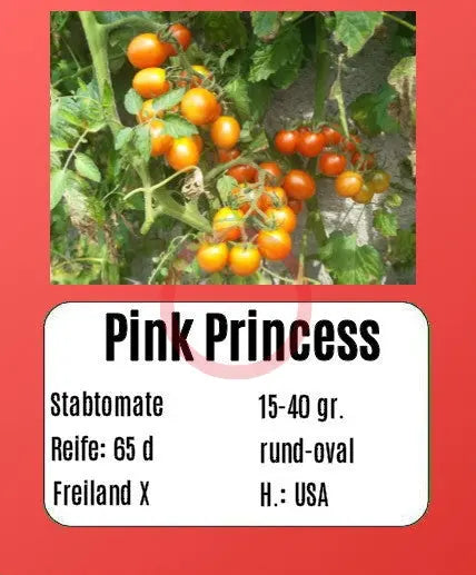 Pink Princess DER TOMATENFLÜSTERER