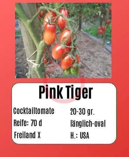 Pink Tiger DER TOMATENFLÜSTERER