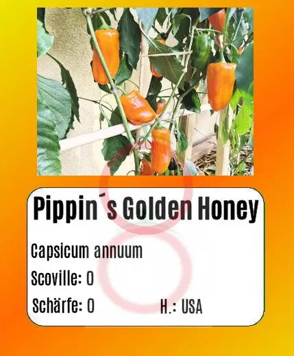 Pippin´s Golden Honey DER TOMATENFLÜSTERER