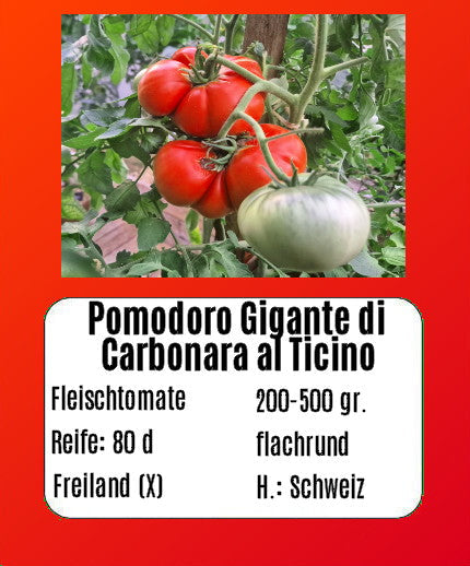 Pomodoro Gigante di Carbonara al Ticino DER TOMATENFLÜSTERER