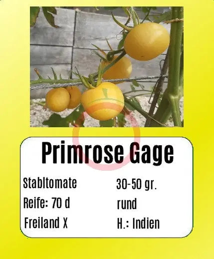 Primrose Gage DER TOMATENFLÜSTERER