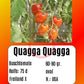 Quagga Quagga DER TOMATENFLÜSTERER