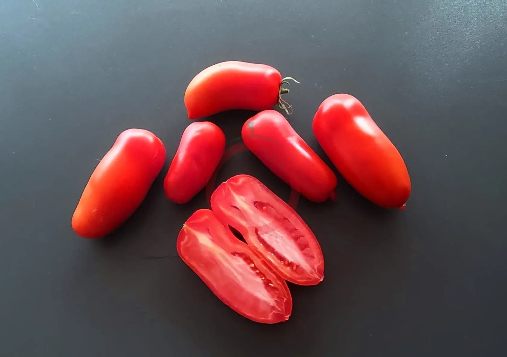 Red Mustang DER TOMATENFLÜSTERER