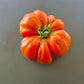 Rigotti´s Dicke DER TOMATENFLÜSTERER