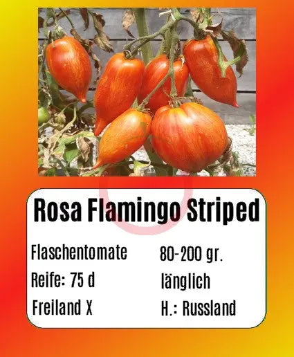 Rosa Flamingo Striped DER TOMATENFLÜSTERER