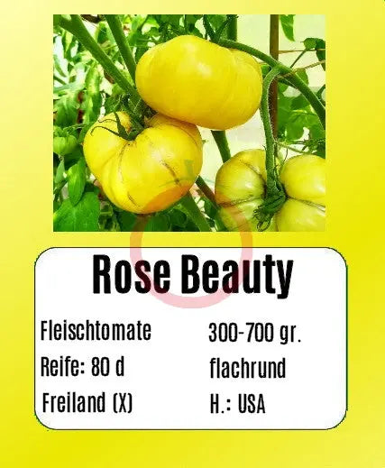 Rose Beauty DER TOMATENFLÜSTERER