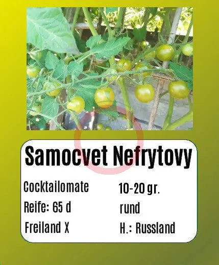 Samocvet Nefrytovy DER TOMATENFLÜSTERER