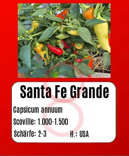 Santa Fe Grande DER TOMATENFLÜSTERER