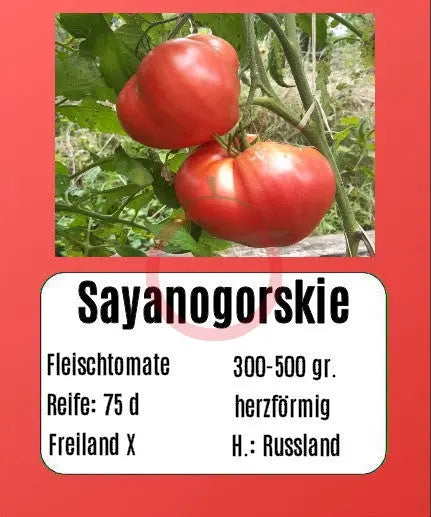 Sayanogorskie DER TOMATENFLÜSTERER