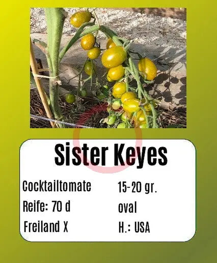 Sister Keyes DER TOMATENFLÜSTERER