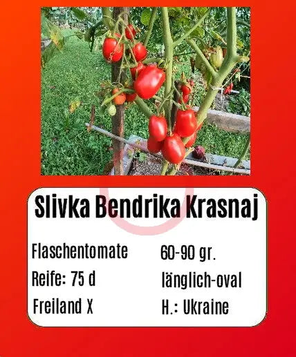 Slivka Bendrika Krasnaj DER TOMATENFLÜSTERER