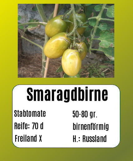 Smaragdbirne DER TOMATENFLÜSTERER