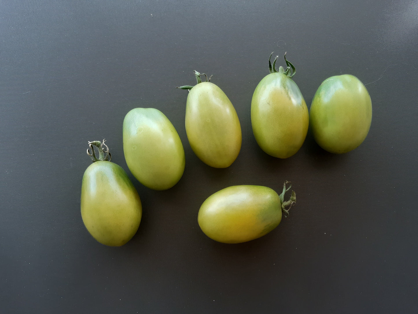 Smaragdbirne DER TOMATENFLÜSTERER