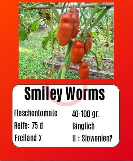 Smiley Worms DER TOMATENFLÜSTERER