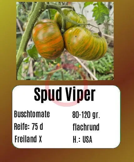 Spud Viper DER TOMATENFLÜSTERER