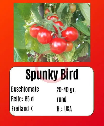 Spunky Bird DER TOMATENFLÜSTERER