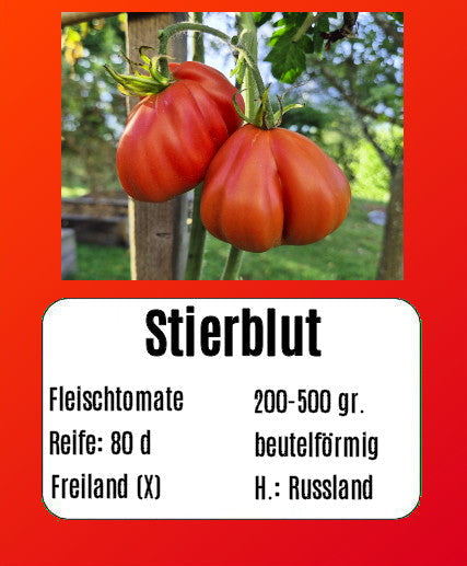 Stierblut DER TOMATENFLÜSTERER