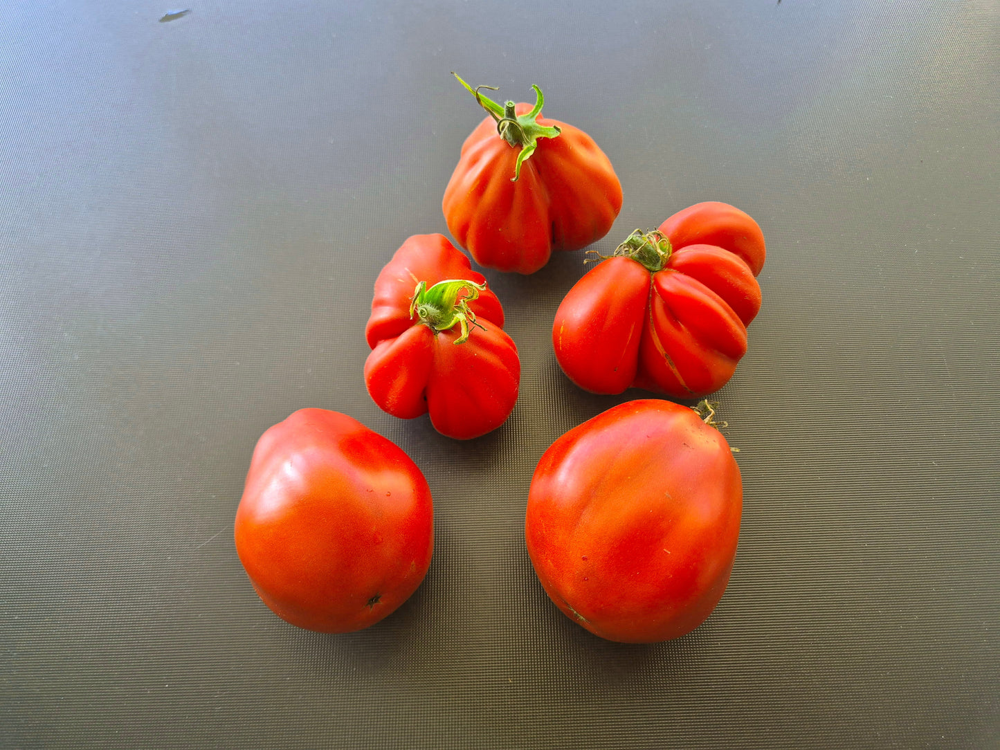 Stierblut DER TOMATENFLÜSTERER