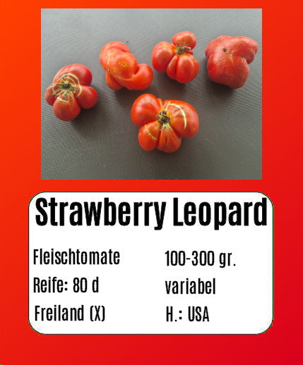 Strawberry Leopard DER TOMATENFLÜSTERER