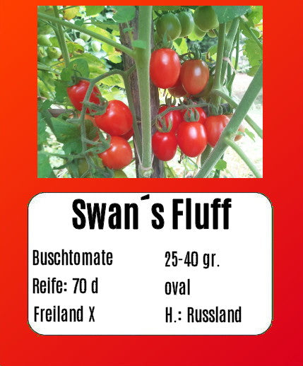 Swan´s Fluff DER TOMATENFLÜSTERER