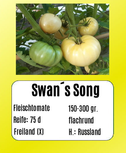 Swan´s Song DER TOMATENFLÜSTERER