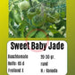 Sweet Baby Jade DER TOMATENFLÜSTERER