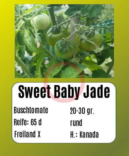 Sweet Baby Jade DER TOMATENFLÜSTERER