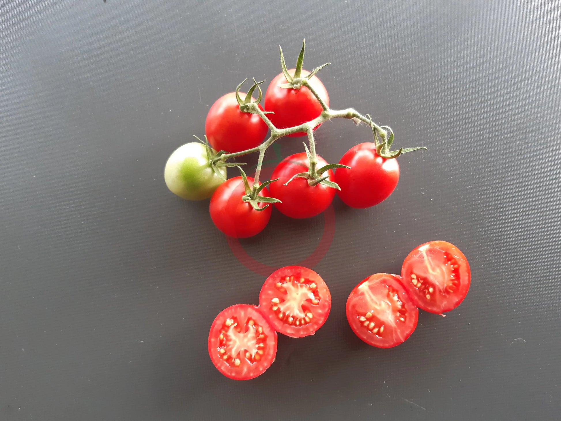 Taiwan Goddess DER TOMATENFLÜSTERER