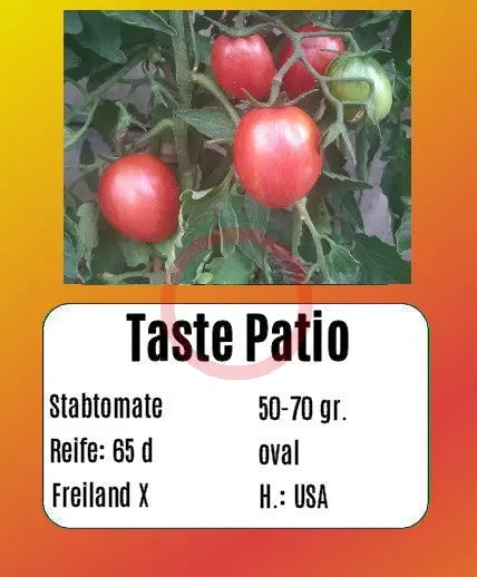 Taste Patio DER TOMATENFLÜSTERER