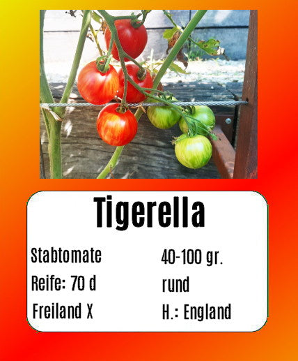 Tigerella DER TOMATENFLÜSTERER