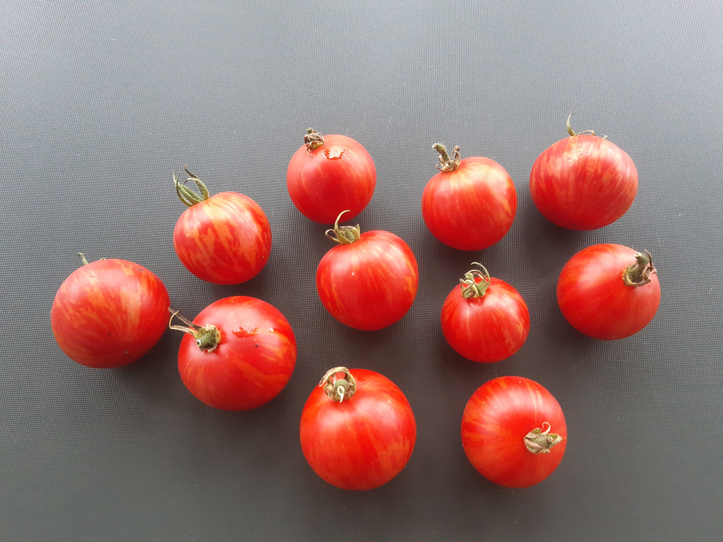 Tigerella DER TOMATENFLÜSTERER