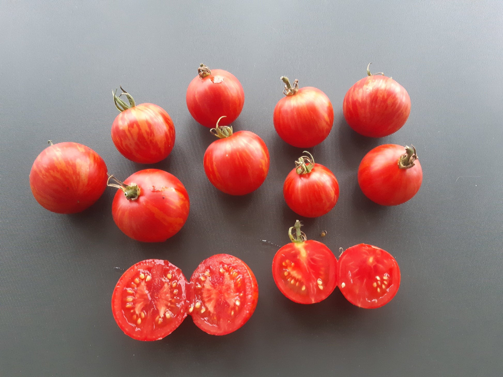 Tigerella DER TOMATENFLÜSTERER