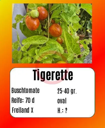 Tigerette DER TOMATENFLÜSTERER