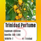 Trinidad Perfume DER TOMATENFLÜSTERER