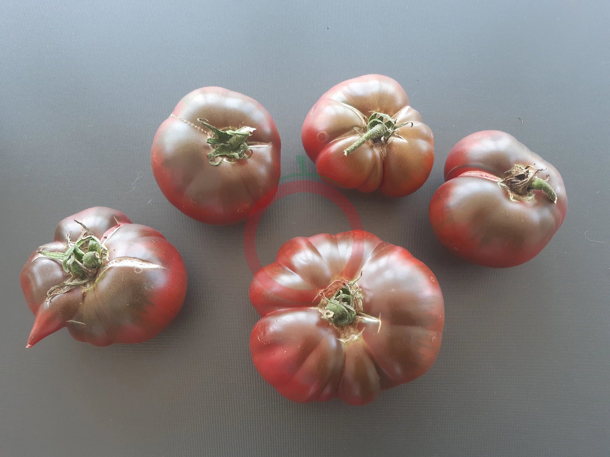 Tschernij Prince DER TOMATENFLÜSTERER