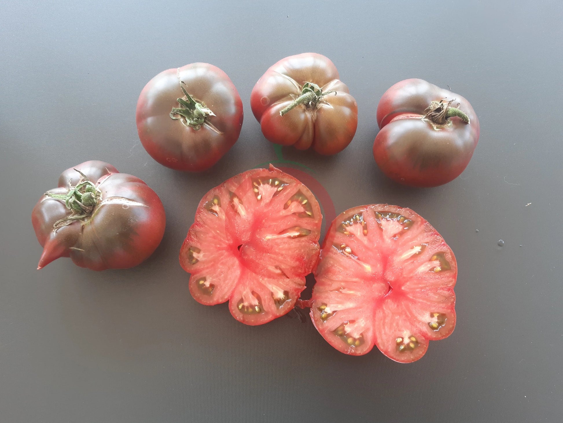 Tschernij Prince DER TOMATENFLÜSTERER